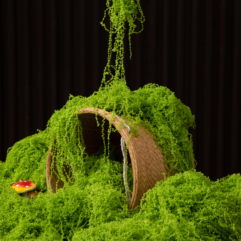 Bonsai Garden Mini - มอสอมตะ 200 กรัม สำหรับงาน DIY ตกแต่งบ้าน