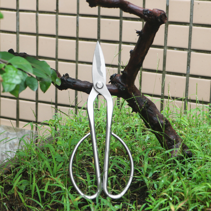 Concave Branch Cutter - กรรไกรตัดแต่งกิ่งไม้เหล็กทั้งหมด, กรรไกรตัดใบไม้, กรรไกรตัดดอกไม้, กรรไกรตัดดอกไม้บอนไซในครัวเรือน, กรรไกรตัดใบไม้, กรรไกรตัดกิ่งใบ