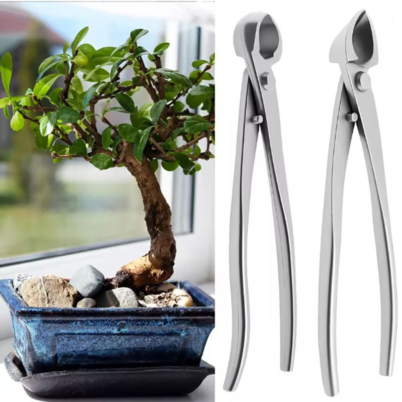 Concave Branch Cutter - ชุดเครื่องมือทำบอนไซสแตนเลส 2 ชิ้น ขนาด 210 มม.