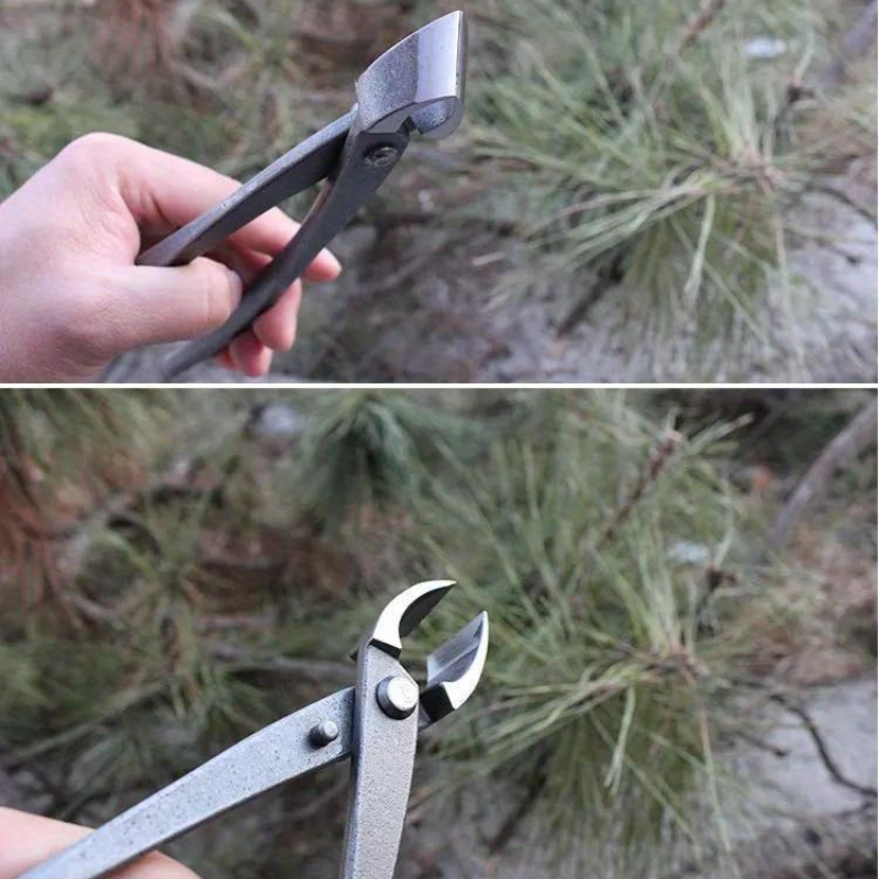 กรรไกรตัดกิ่งบอนไซแบบโค้ง 210  - Concave Branch Cutter บทวิจารณ์และราคา