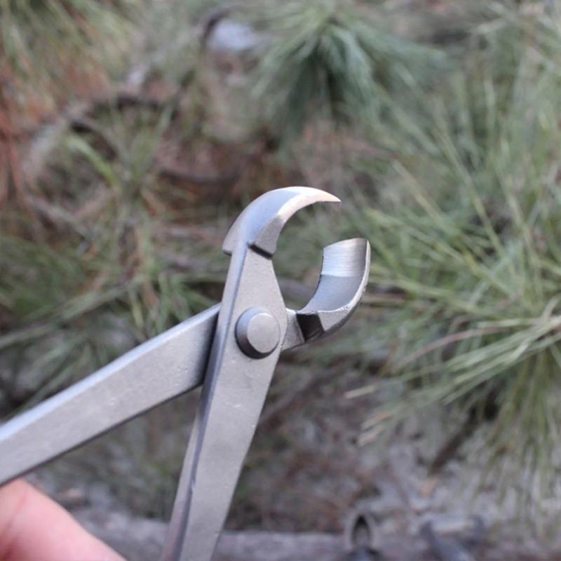 กรรไกรตัดกิ่งบอนไซแบบโค้ง 210  - Concave Branch Cutter บทวิจารณ์และราคา