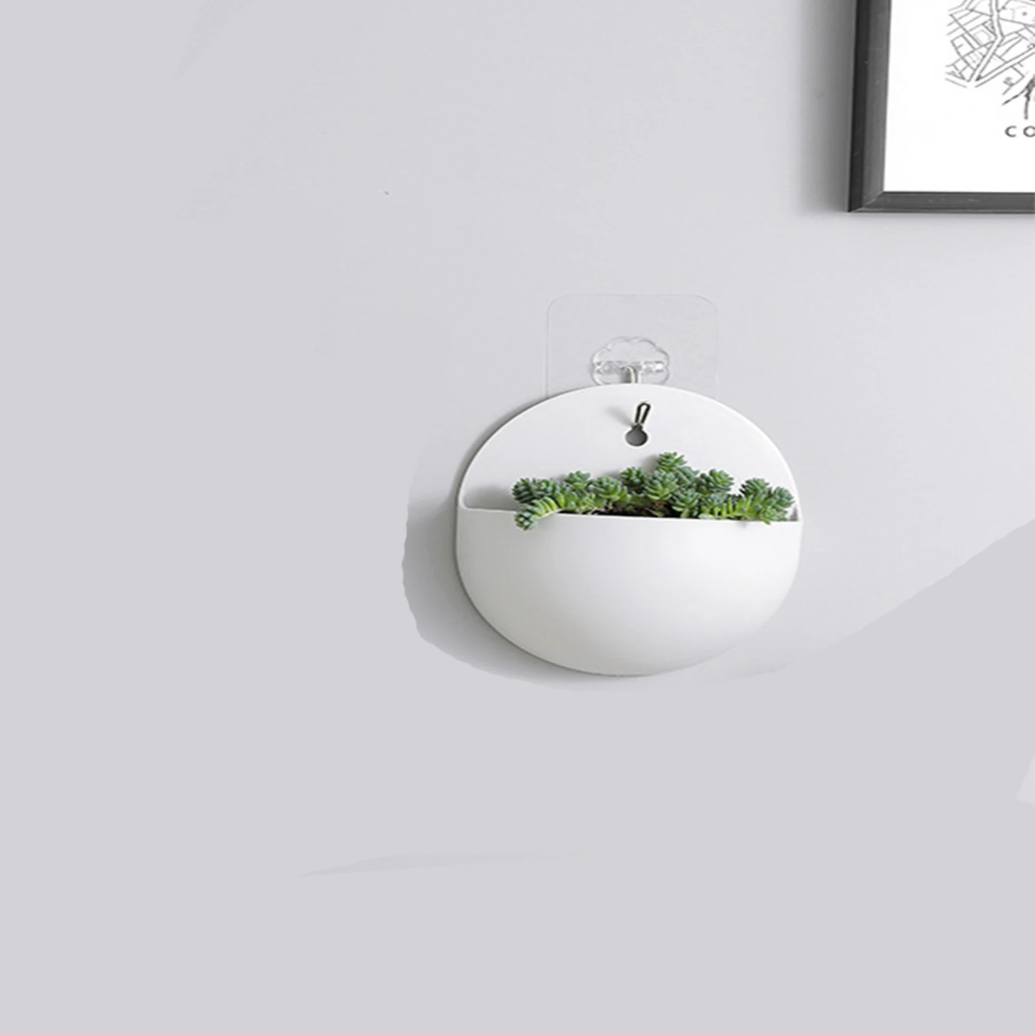 แขวนผนังปลูกบอนไซระเบียงแขวนตะ - Bonsai Garden China บทวิจารณ์และราคา