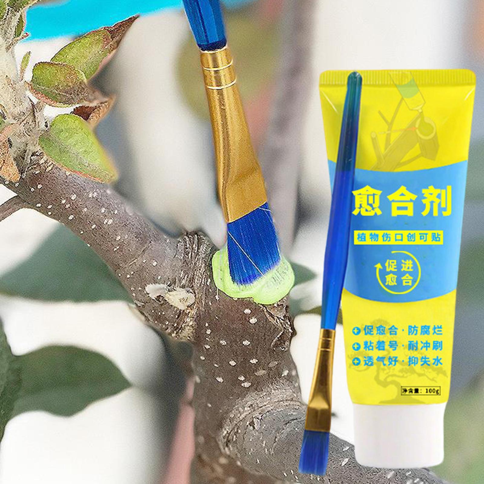 ยาทาแผลต้นไม้ บอนไซ 100 กรัม พ - Bonsai Garden Tree บทวิจารณ์และราคา