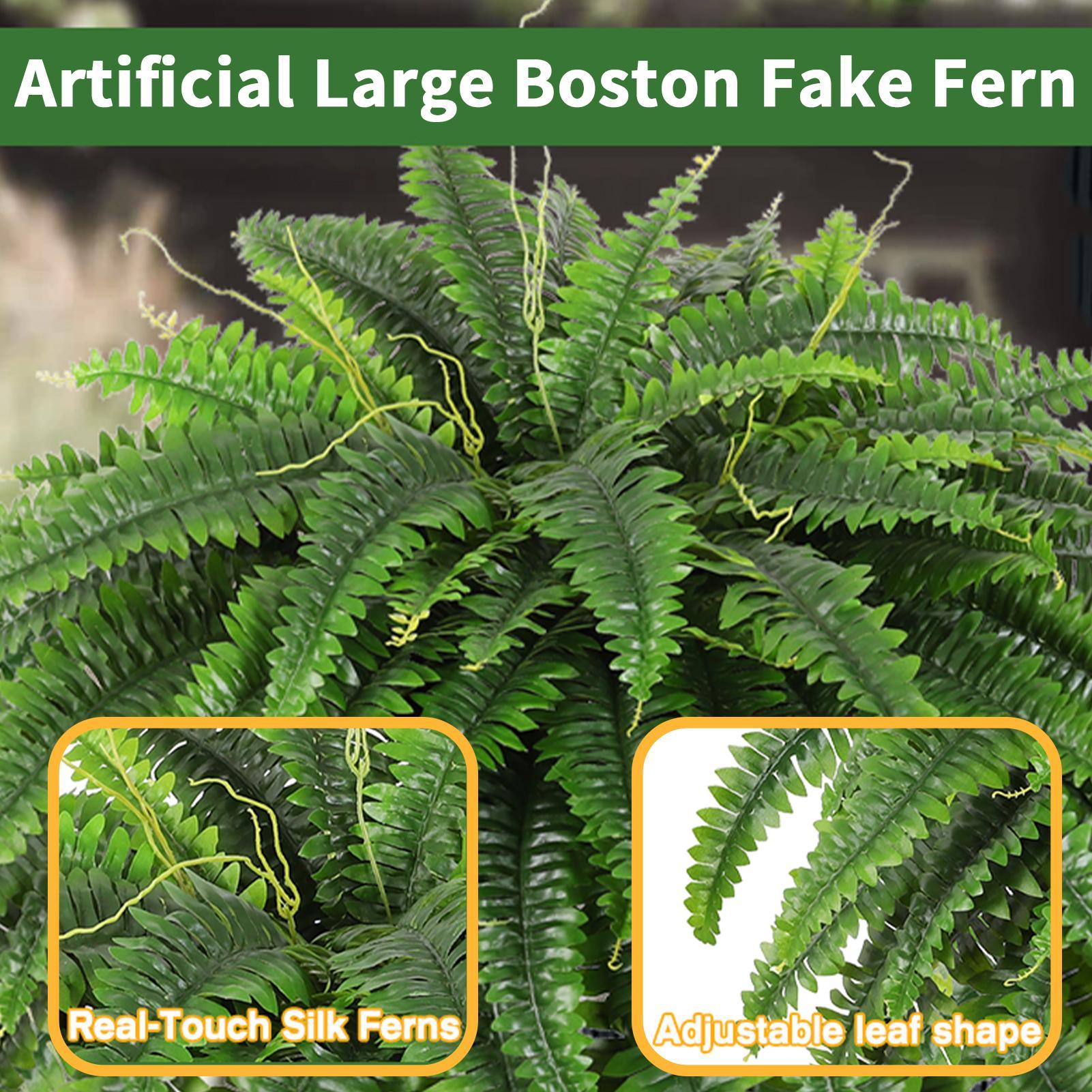 ต้นเฟิร์นบอสตันประดิษฐ์เหมือนจ - Bonsai Garden Boston บทวิจารณ์และราคา