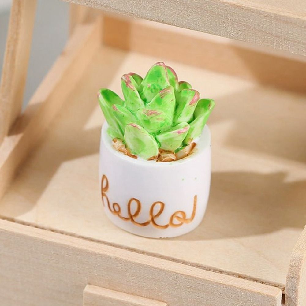 ต้นไม้จิ๋วในกระถางสำหรับบ้านตุ - Bonsai Garden China บทวิจารณ์และราคา