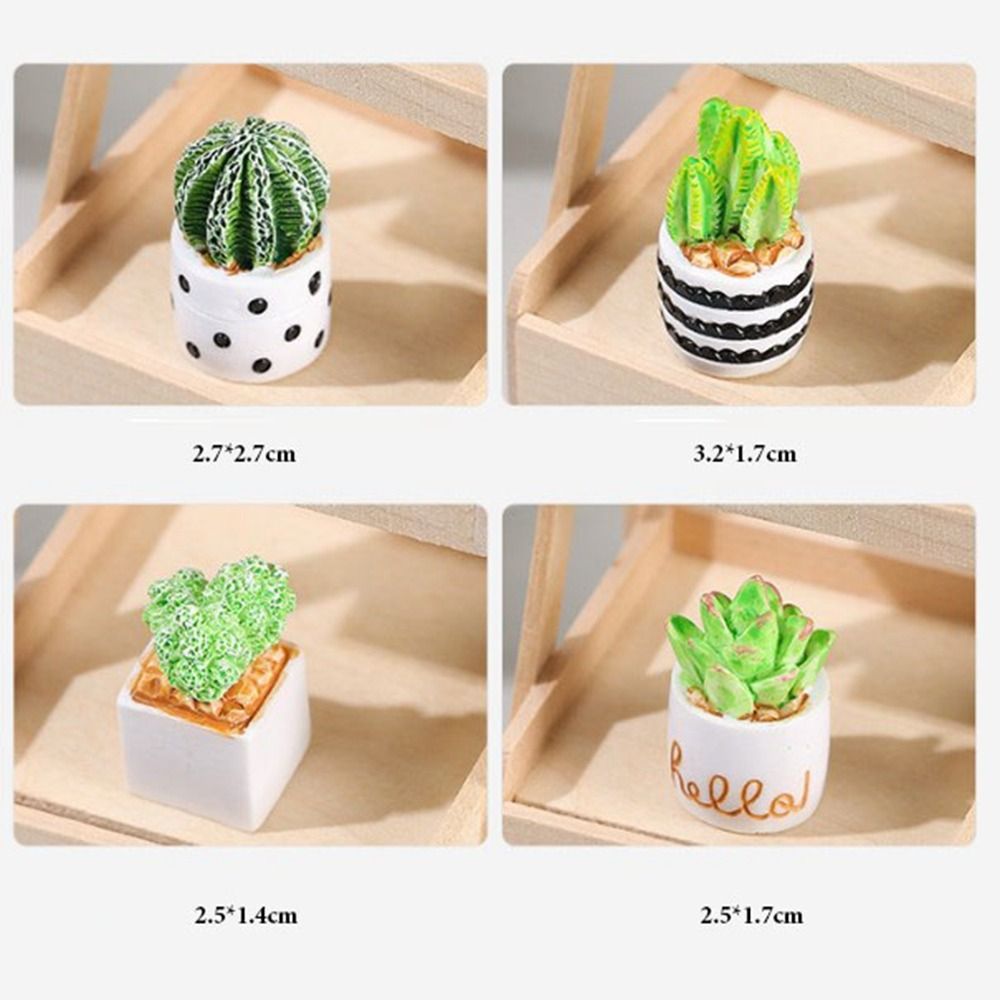 ต้นไม้จิ๋วในกระถางสำหรับบ้านตุ - Bonsai Garden China บทวิจารณ์และราคา