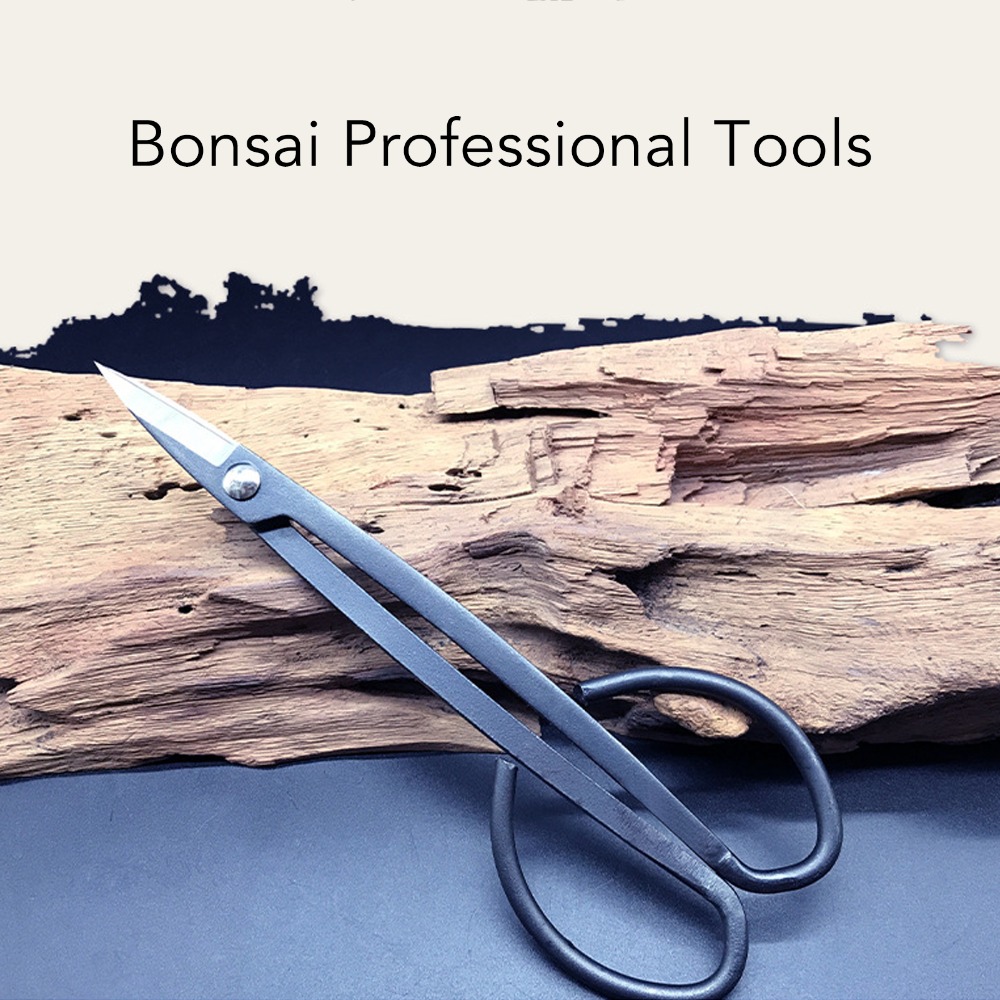 กรรไกรตัดกิ่งบอนไซสแตนเลส ด้าม - Concave Branch Cutter บทวิจารณ์และราคา