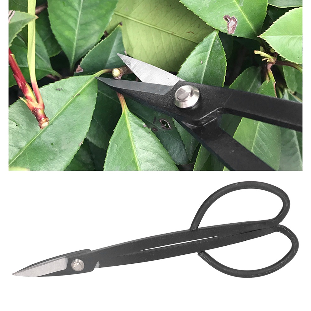 กรรไกรตัดกิ่งบอนไซสแตนเลส ด้าม - Concave Branch Cutter บทวิจารณ์และราคา
