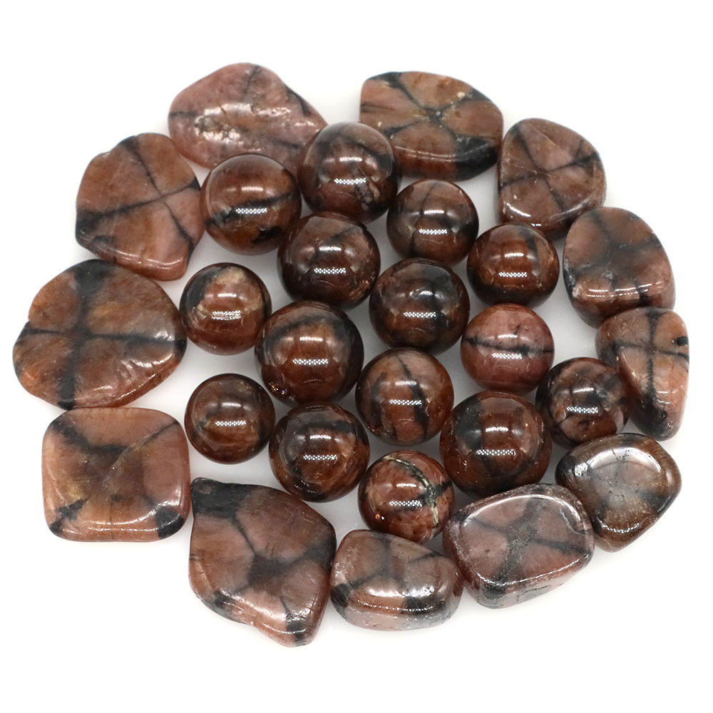 ธรรมชาติ Cross Chiastolite คริ - Bonsai Rock Garden บทวิจารณ์และราคา