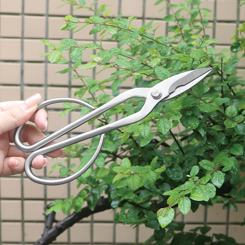 กรรไกรตัดแต่งกิ่งไม้เหล็กทั้งห - Concave Branch Cutter บทวิจารณ์และราคา