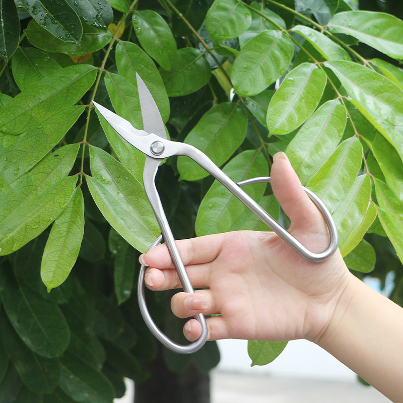 กรรไกรตัดแต่งกิ่งไม้เหล็กทั้งห - Concave Branch Cutter บทวิจารณ์และราคา