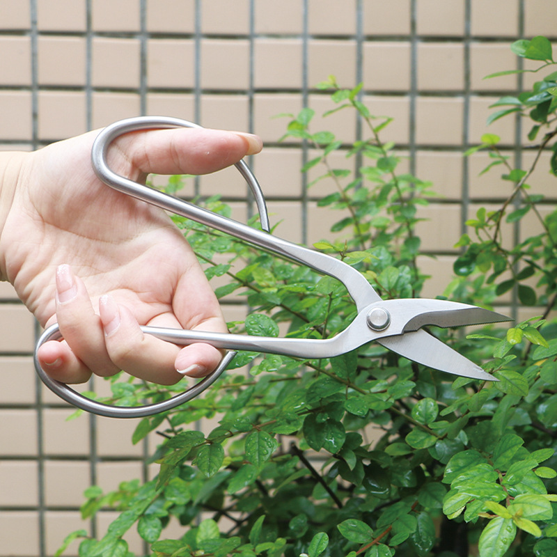 กรรไกรตัดแต่งกิ่งไม้เหล็กทั้งห - Concave Branch Cutter บทวิจารณ์และราคา