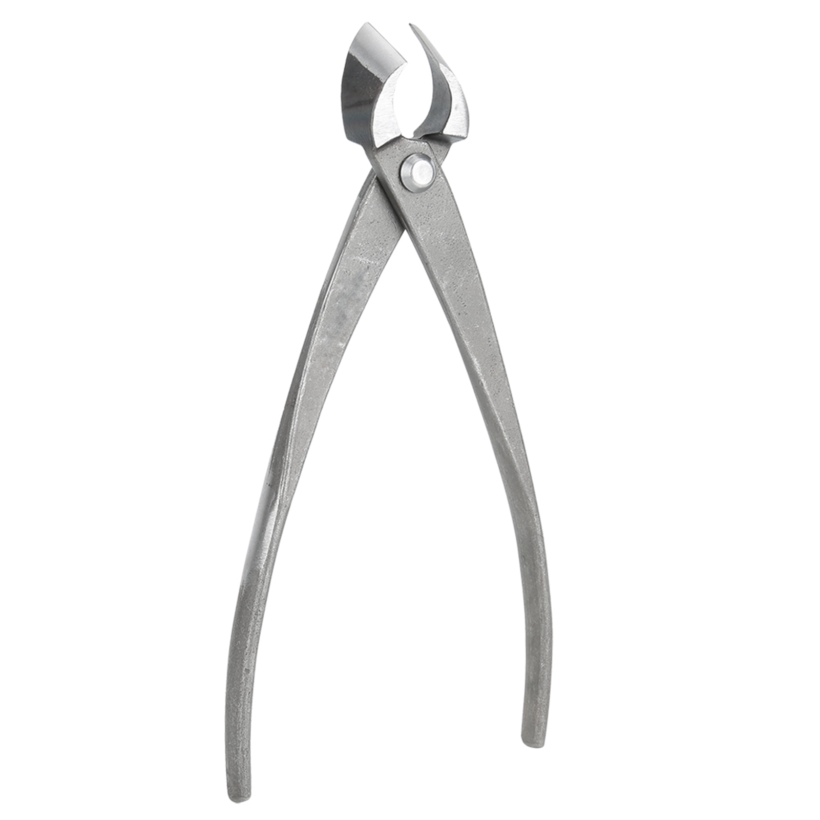 เครื่องตัดบอนไซมัลติฟังก์ชั่ตั - Concave Branch Cutter บทวิจารณ์และราคา