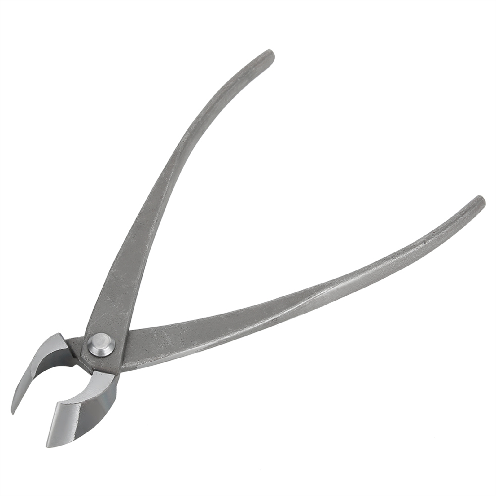 เครื่องตัดบอนไซมัลติฟังก์ชั่ตั - Concave Branch Cutter บทวิจารณ์และราคา
