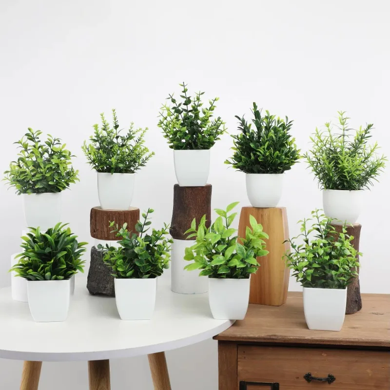 ขายส่ง OEM/ODM ประดิษฐ์ Mini P - Bonsai Garden Mini บทวิจารณ์และราคา