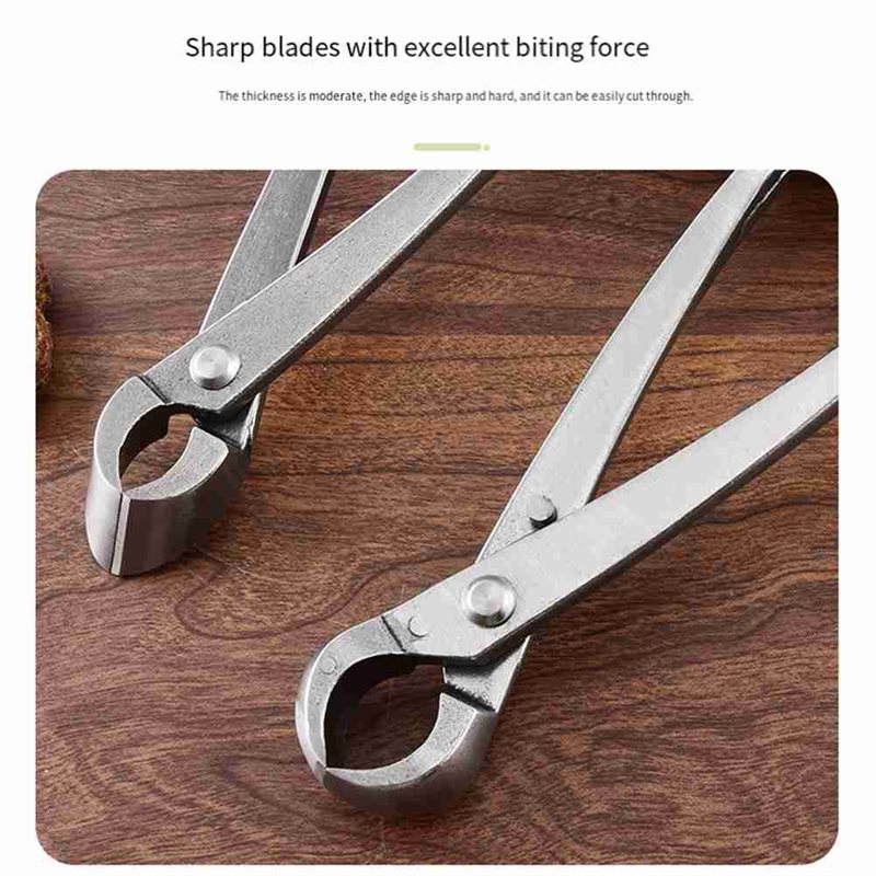 ชุดเครื่องมือตัดแต่งต้นบอนไซ S - Root Hook Tool บทวิจารณ์และราคา