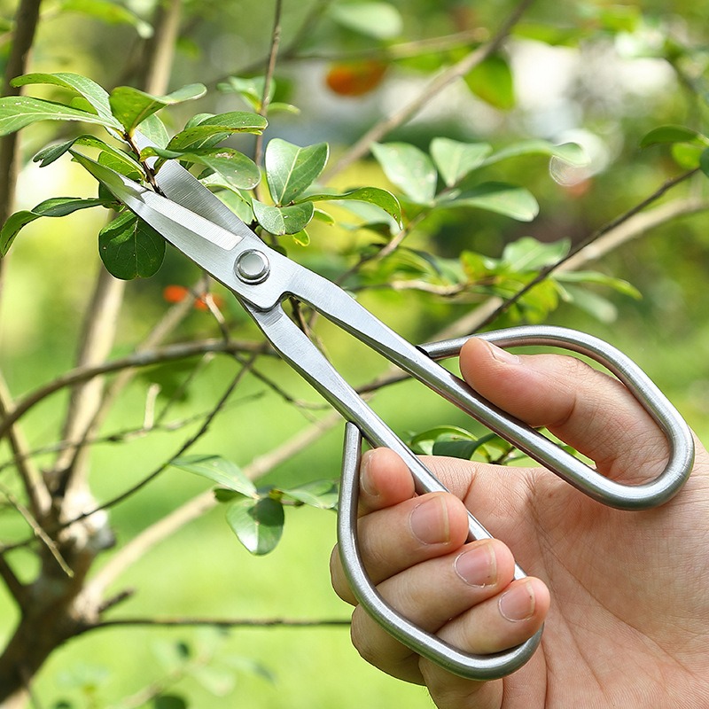 กรรไกรตัดกิ่งไม้เล็ก อุปกรณ์ทำ - Concave Branch Cutter บทวิจารณ์และราคา
