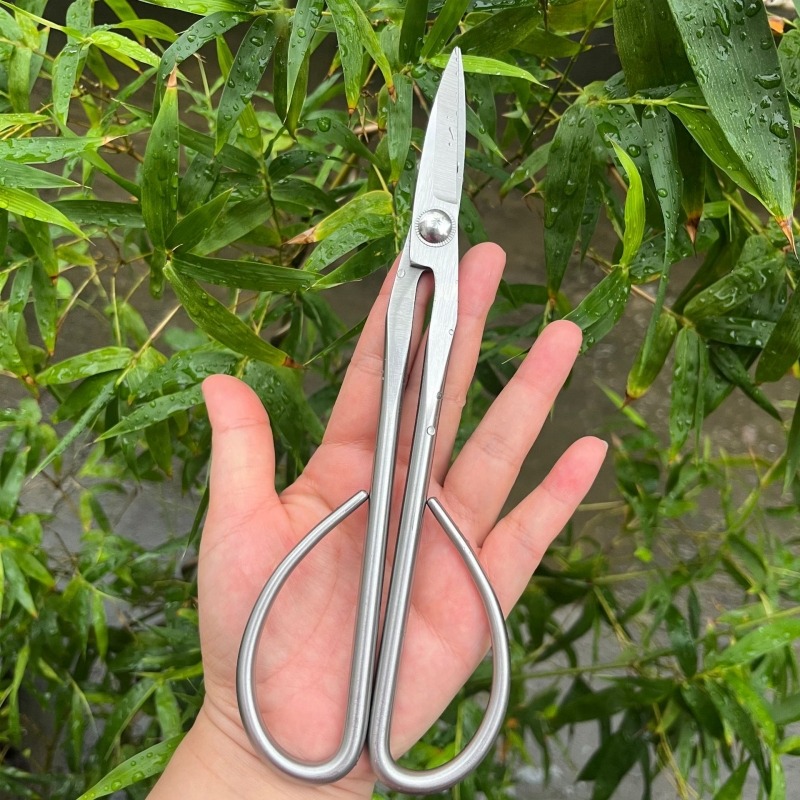 กรรไกรตัดกิ่งไม้เล็ก อุปกรณ์ทำ - Concave Branch Cutter บทวิจารณ์และราคา