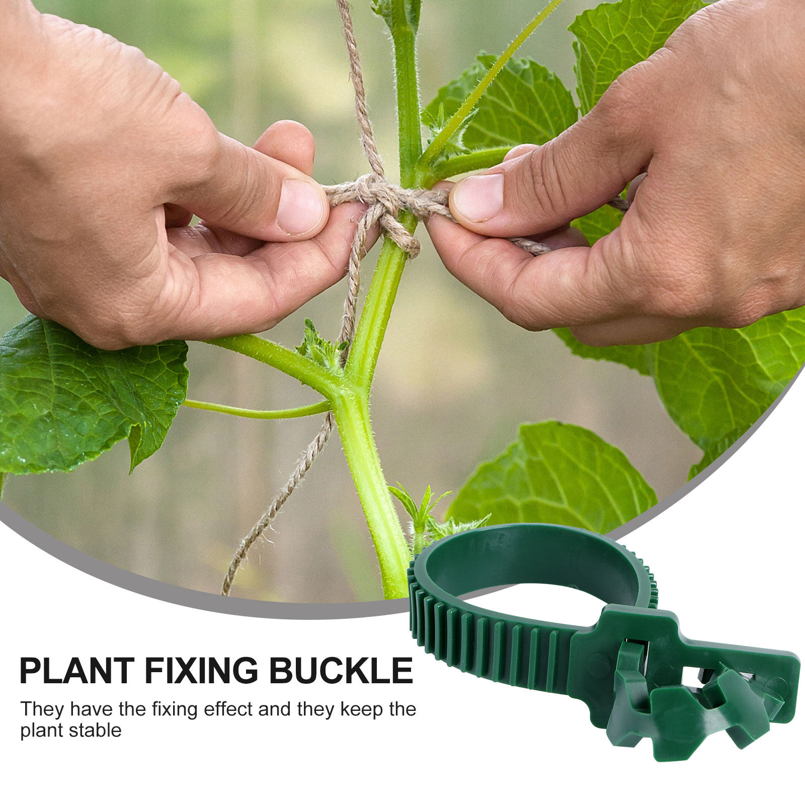 คลิปยึดเถาวัลย์สำหรับพืชในสวน  - Bonsai Garden Tree บทวิจารณ์และราคา
