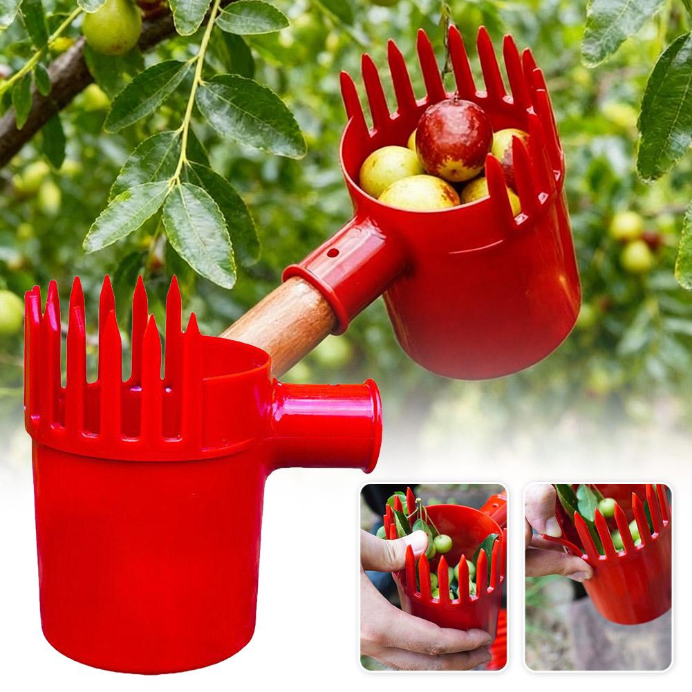 เครื่องมือเก็บผลไม้แบบพกพา ตะก - Bonsai Garden Tree บทวิจารณ์และราคา