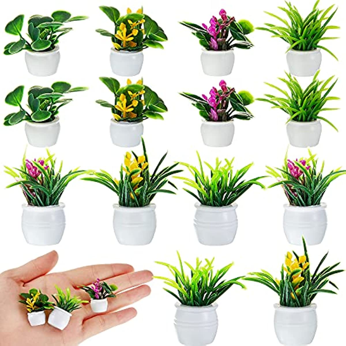 ต้นไม้บ้านตุ๊กตา, ต้นไม้บอนไซจ - Bonsai Garden Mini บทวิจารณ์และราคา
