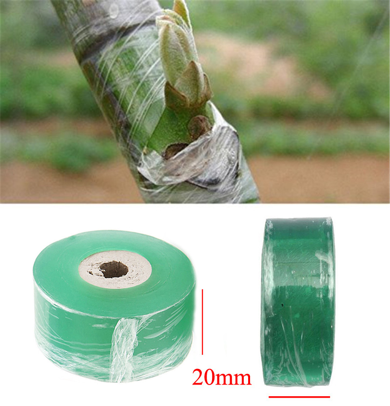 ม้วน Grafting เทปสวนเครื่องมือ - Bonsai Garden Tree บทวิจารณ์และราคา