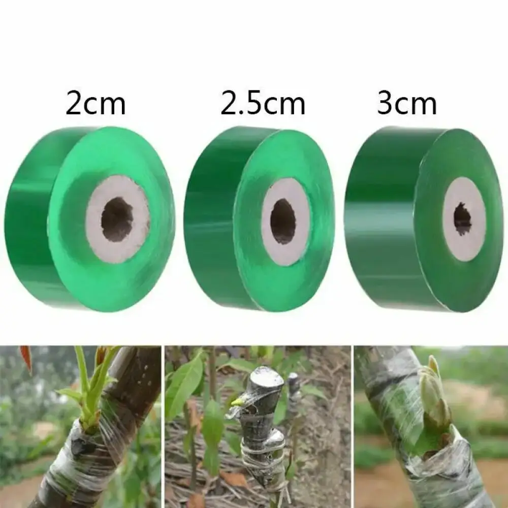 1 ม้วน 2-3 ซม. เทปกาวในตัว, ฟิ - Bonsai Garden Tree บทวิจารณ์และราคา