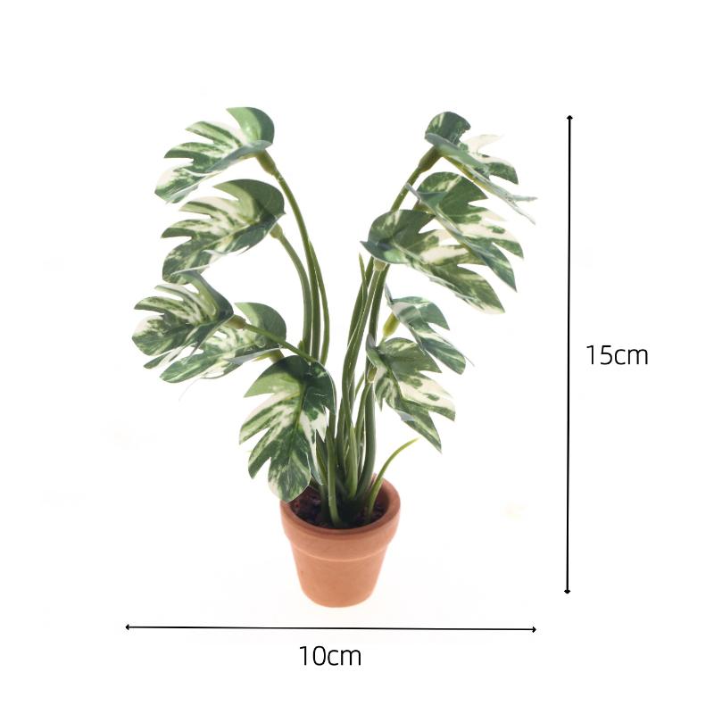ใหม่! ต้นมอนสเตอร่าจำลอง 1 ชิ้ - Bonsai Garden Decor บทวิจารณ์และราคา