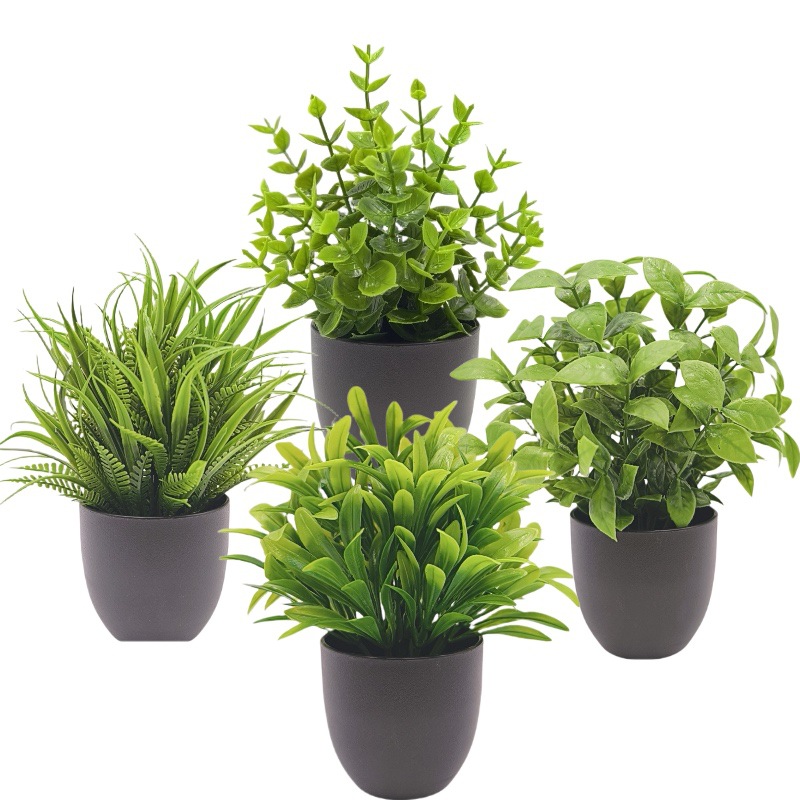 ต้นไม้จำลองสีเขียว บอนไซ ของตก - Bonsai Garden Mini บทวิจารณ์และราคา