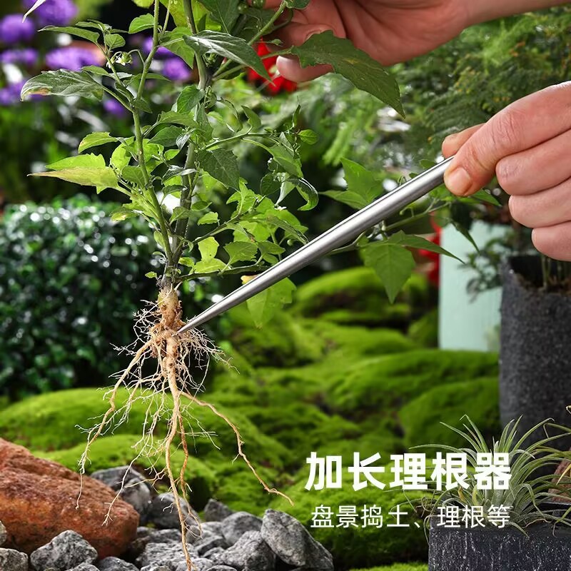ตะขอเกี่ยวรากสแตนเลสแข็งแรง -  - Root Hook Tool บทวิจารณ์และราคา