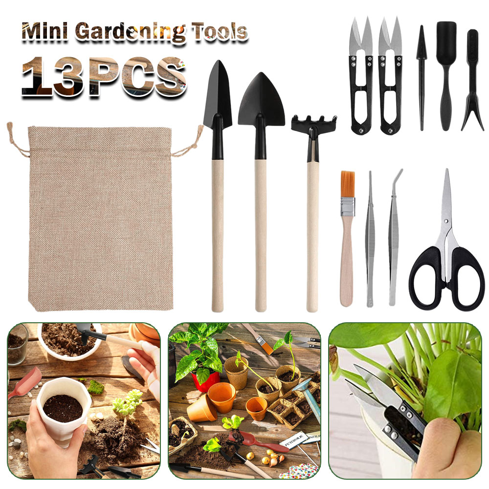 Succulentพืชเครื่องมือMini Gar - Bonsai Garden Mini บทวิจารณ์และราคา