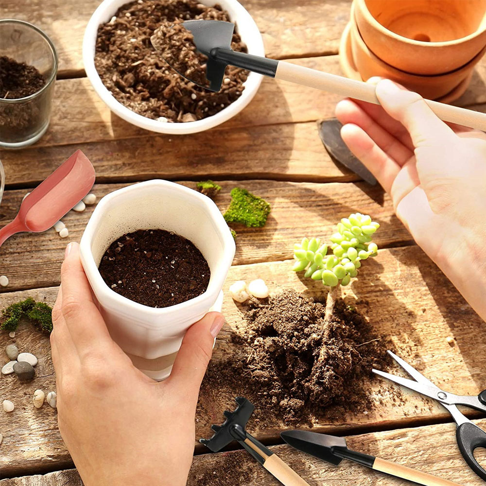 Succulentพืชเครื่องมือMini Gar - Bonsai Garden Mini บทวิจารณ์และราคา